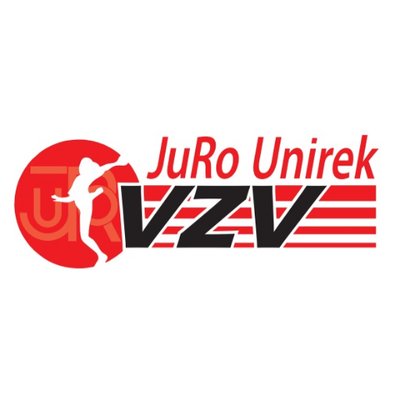 Handbalvereniging V.Z.V.