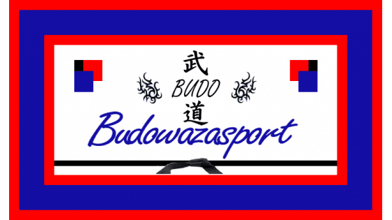Budowazasport