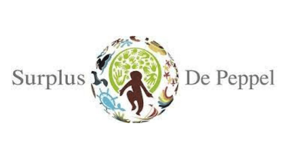 Ouderraad OBS de Peppel